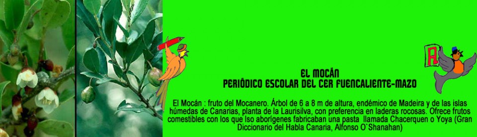 mocan-cabecera21